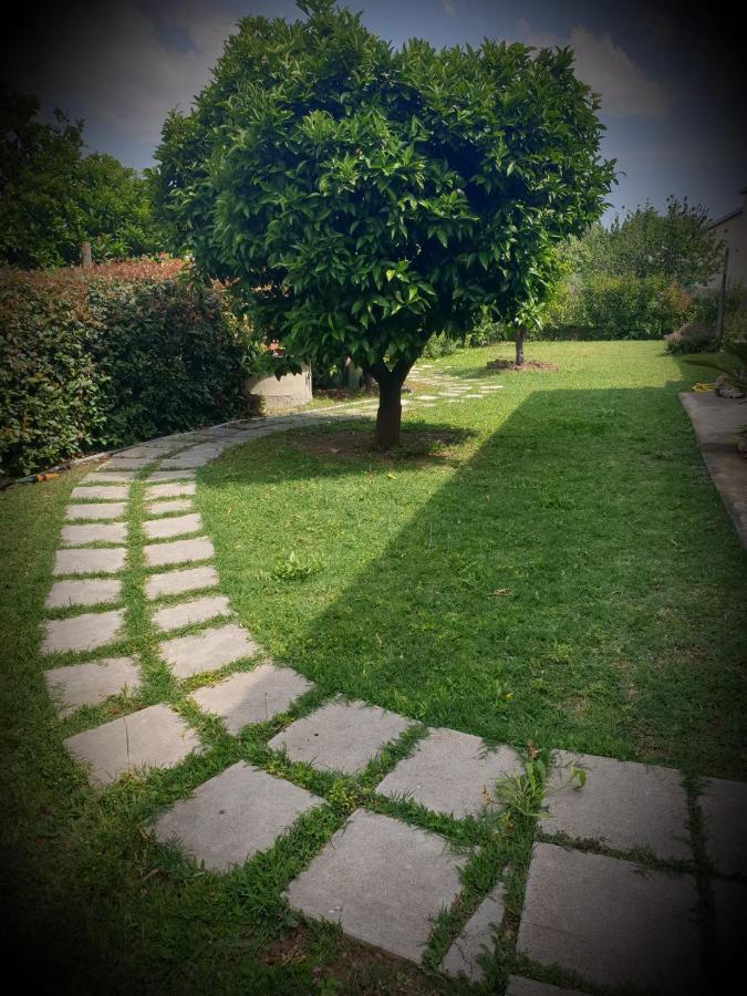 Vacanze Maria Stella Сasa de vacaciones Pescia Romana